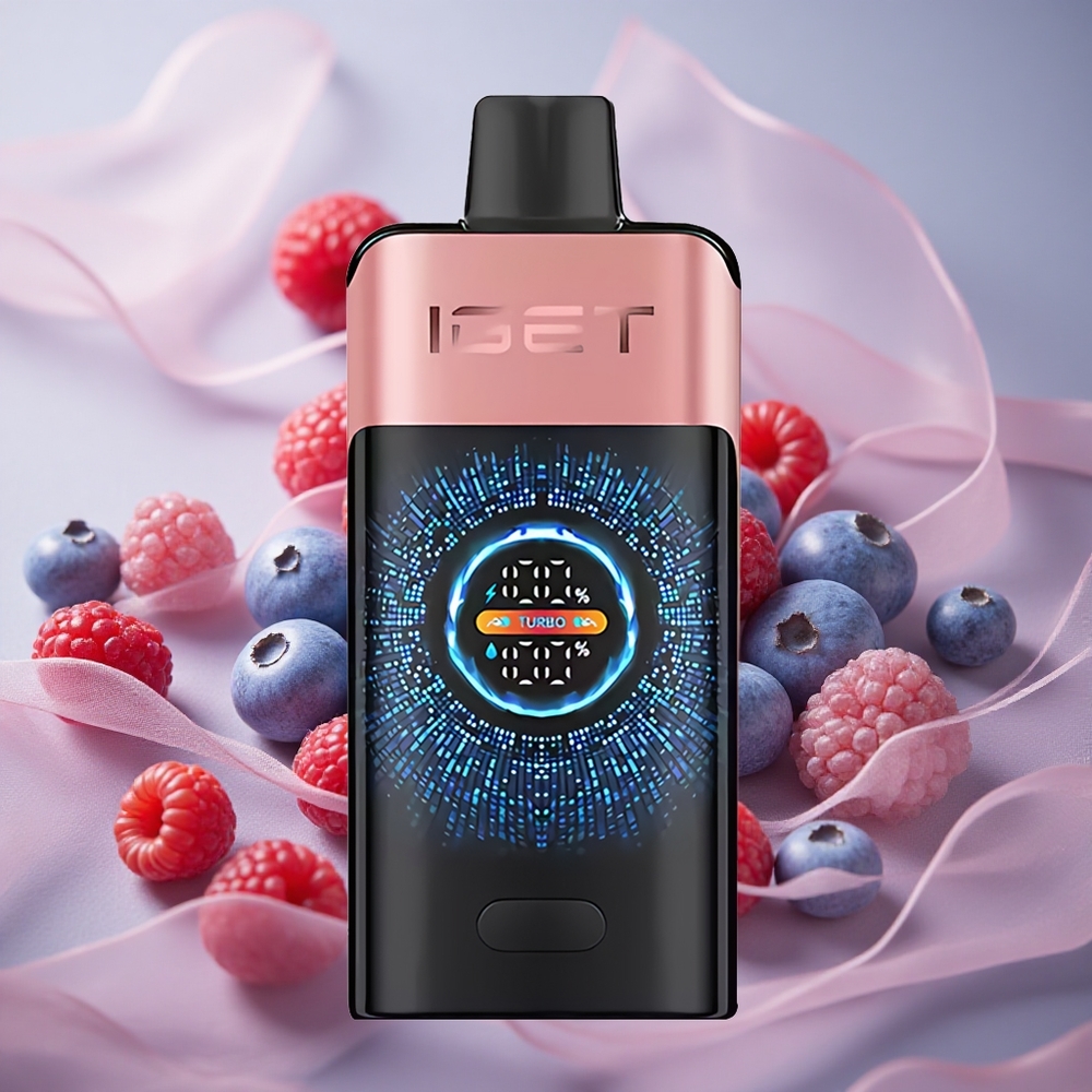 Borůvka Malina IGET ONE 12000 Puffs Jednorázová Vape 2700 mAh Baterie 0.6 ohm Dual Mesh Cívka velkoobchod Česká Republika
