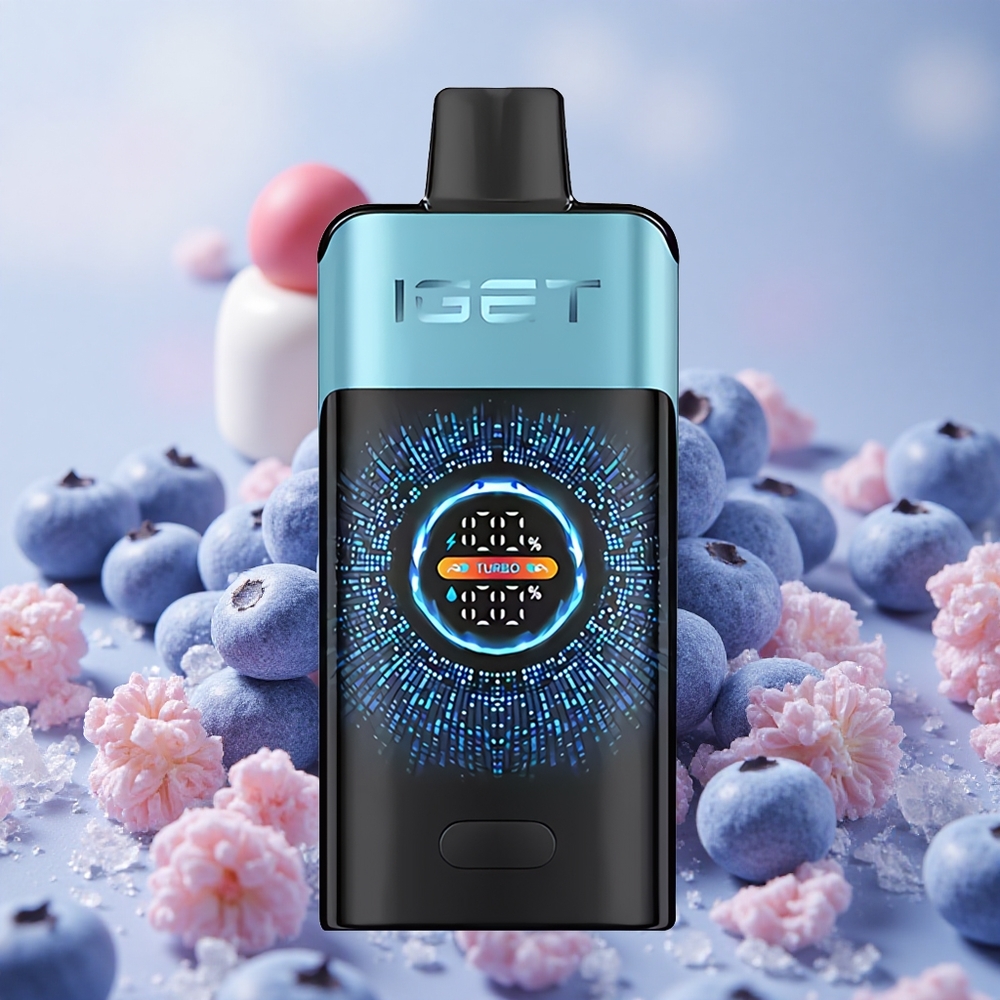 Borůvkový Led IGET ONE 12000 Puffs Jednorázová Vape 2700 mAh Kapacita Baterie 0.6 ohm Dual Mesh Cívka velkoobchod Česká Republika