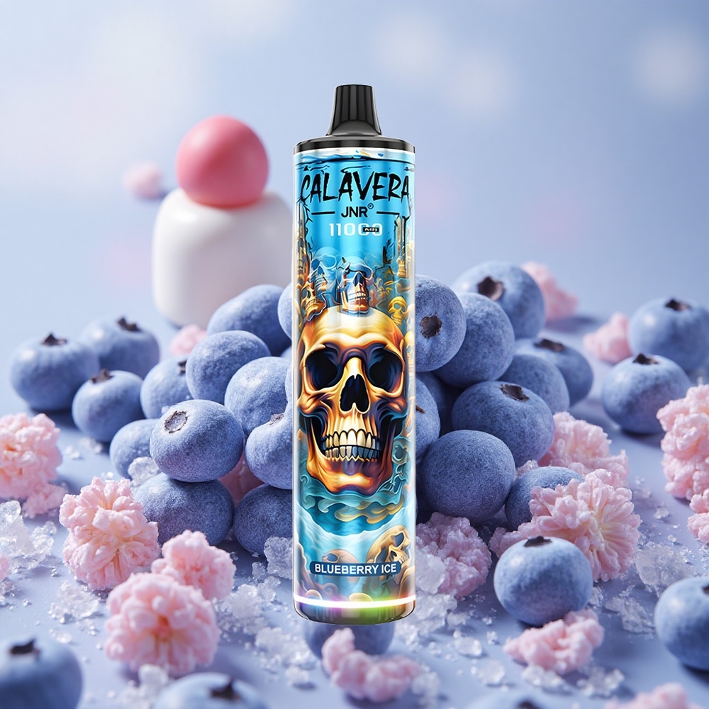Borůvkový led JNR Calavera 11000 Puffs Jednorázová Vape 850 mAh 21ml velkoobchod Česká Republika