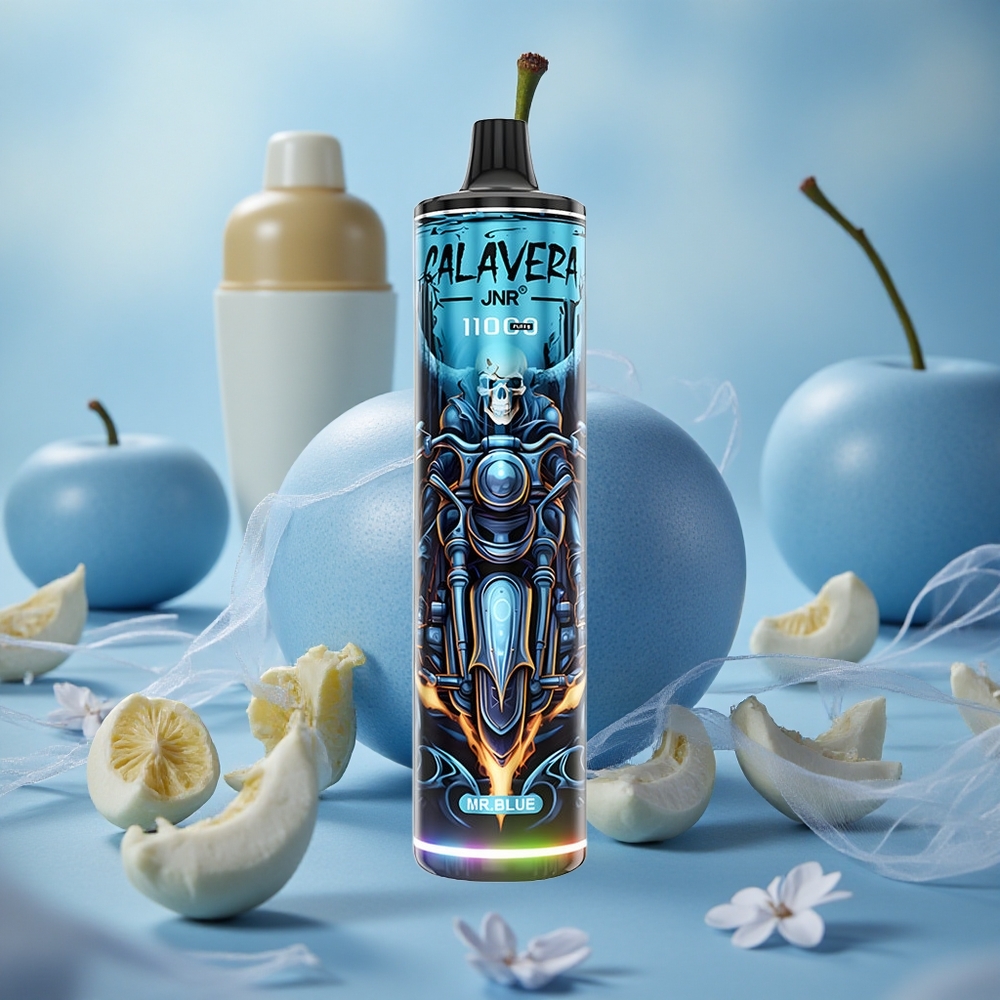 Modrá JNR Calavera 11000 Puffs Jednorázová Vape 850 mAh Kapacita baterie 21ml Kapacita náplně velkoobchod Česká Republika