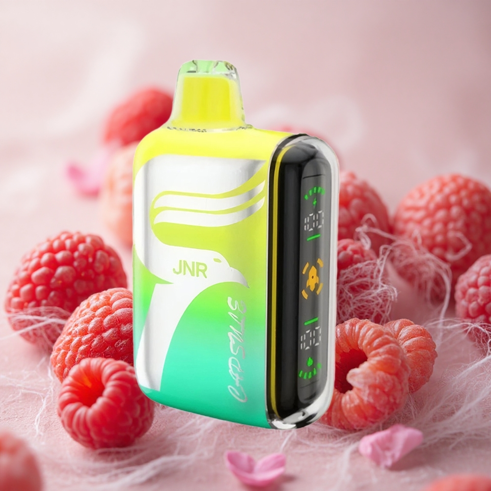 jahoda malina třešeň JNR Capsule 15000 Puffs 850mAh 20ml velkoobchod Česká Republika