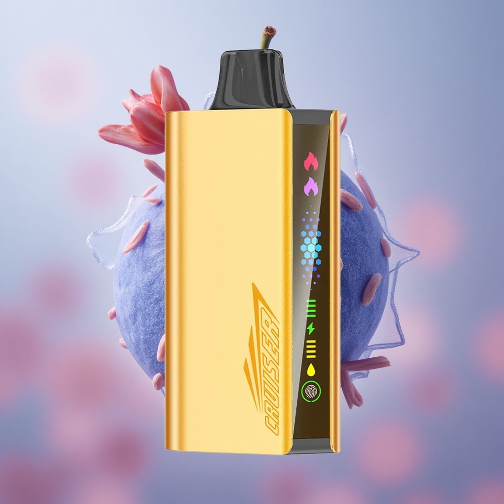 Borůvkový výbuch JNR Cruiser 12000 Puffs Vestavěná baterie 3500 mAh 25ml E-liquid velkoobchod Česká Republika