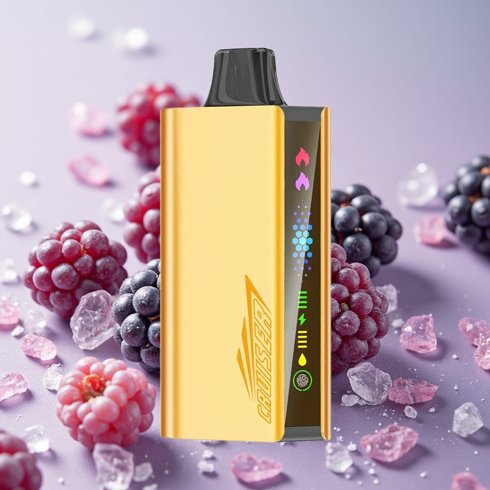 Černý Rybíz Led JNR Cruiser 12000 Puffs Vestavěná 3500 mAh Baterie 25ml E-liquid velkoobchod Česká Republika