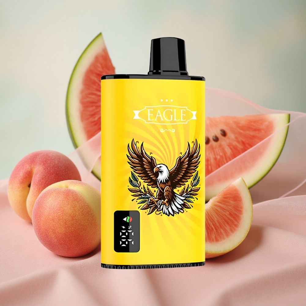 Broskev Mango Vodní meloun JNR EAGLE Smart 23000 Puffs Jednorázová Vape Digitální displej velkoobchod Česká Republika