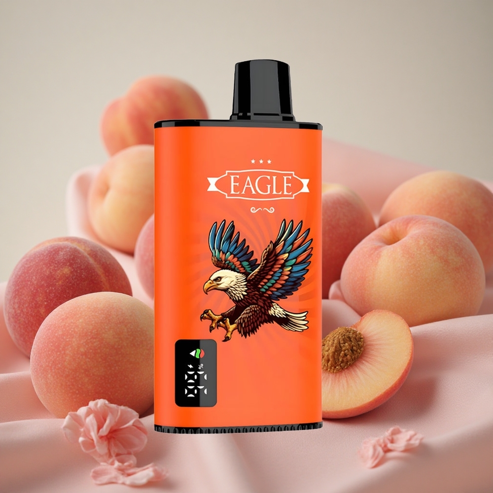 Šťavnaté broskve JNR EAGLE Smart 23000 Puffs Jednorázová Vape Digitální obrazovka 25ml kapacita e-liquidu velkoobchod Česká Republika