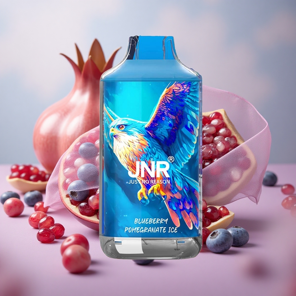 Borůvka Granátové jablko Ice JNR Falcon 16000 Puffs 22ml Kapacita e-liquidu 850 mAh Kapacita baterie velkoobchod Česká Republika