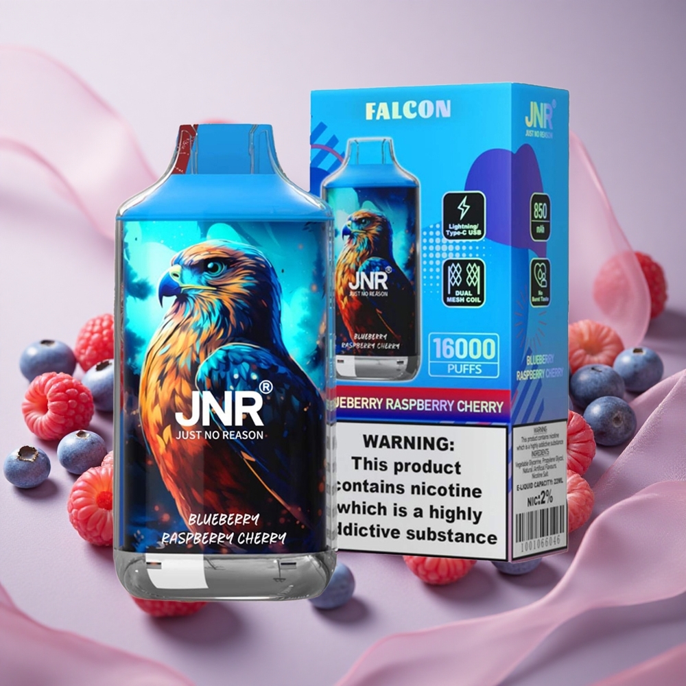 Borůvka Malina Třešeň JNR Falcon 16000 Puffs 850 mAh 22ml velkoobchod Česká Republika