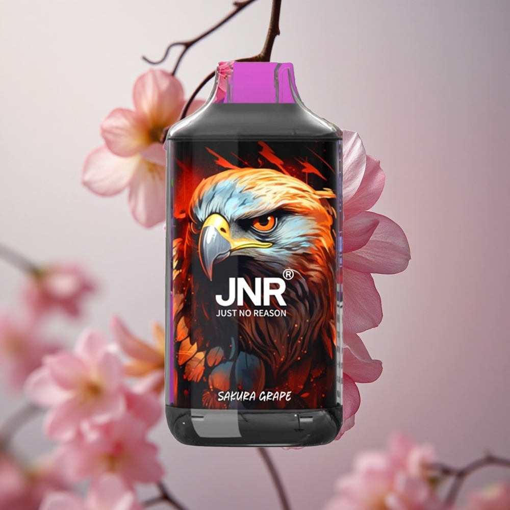 Sakura Hroznový JNR Falcon 16000 Puffs 850 mAh 22ml velkoobchod Česká Republika