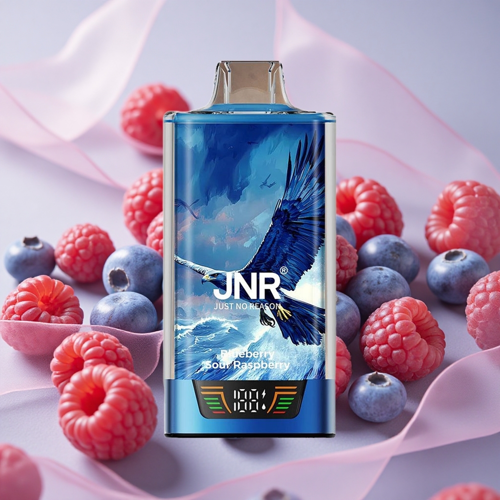 Borůvka Kyselá Malina JNR Falcon Pro 28000 Jednorázová Vape 30ml Předplněná Kapacita 950mAh Kapacita Baterie velkoobchod Česká Republika