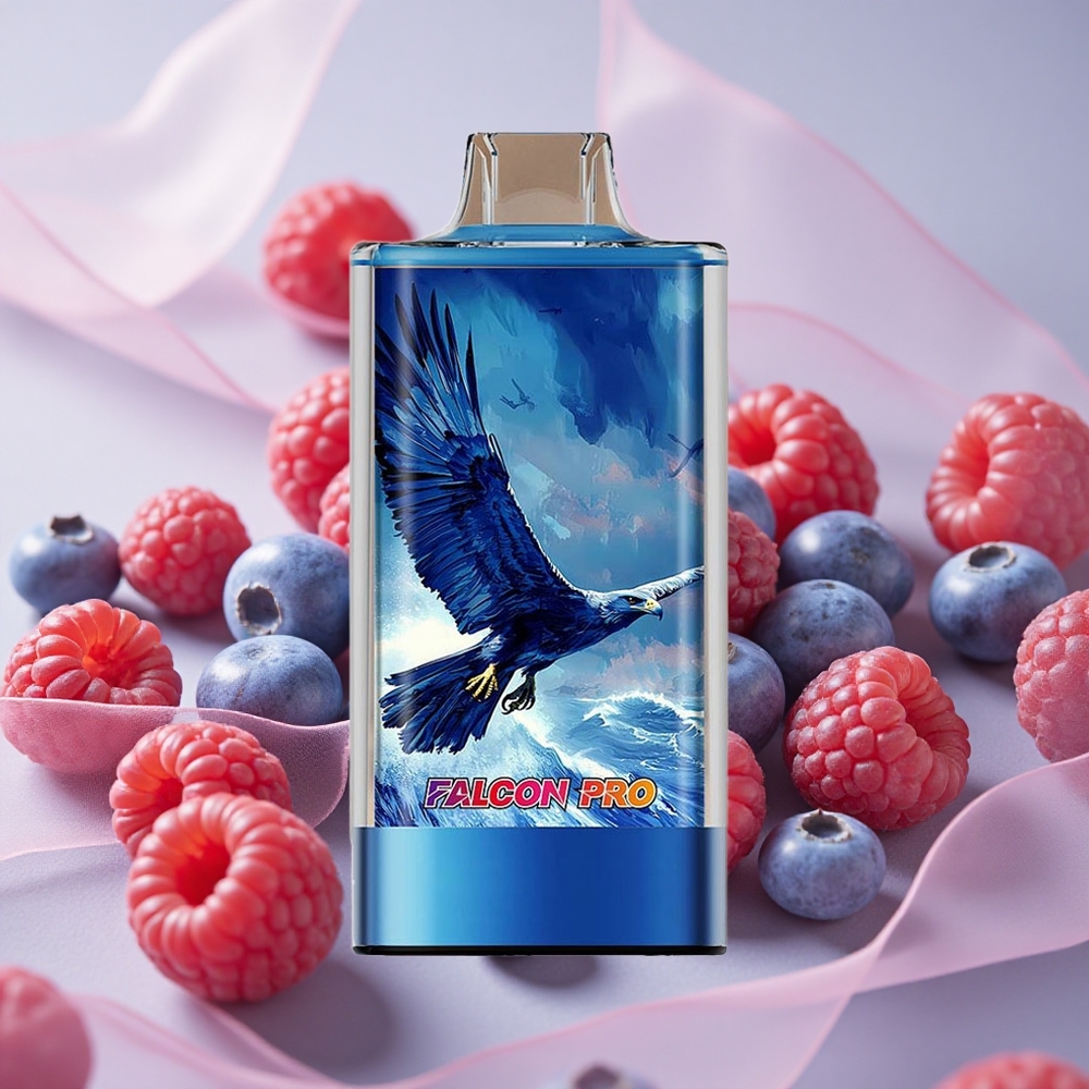 Borůvka Kyselá Malina JNR Falcon Pro 28000 Jednorázová Vape 30ml Předplněná Kapacita 950mAh Kapacita Baterie velkoobchod Česká Republika