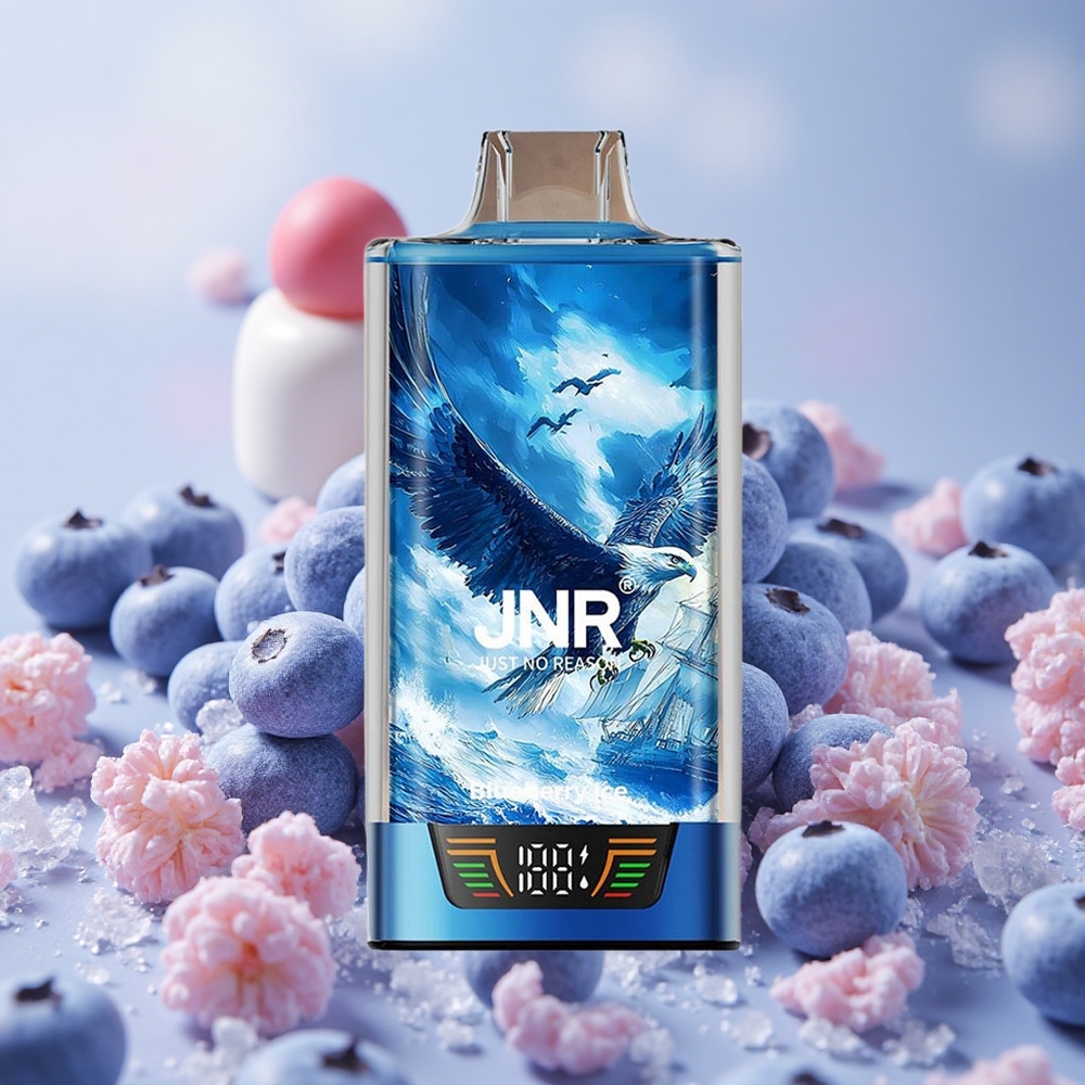 Borůvka Led JNR Falcon Pro 28000 Jednorázová Vape 30ml Předplněná Kapacita 950mAh Kapacita Baterie velkoobchod Česká Republika