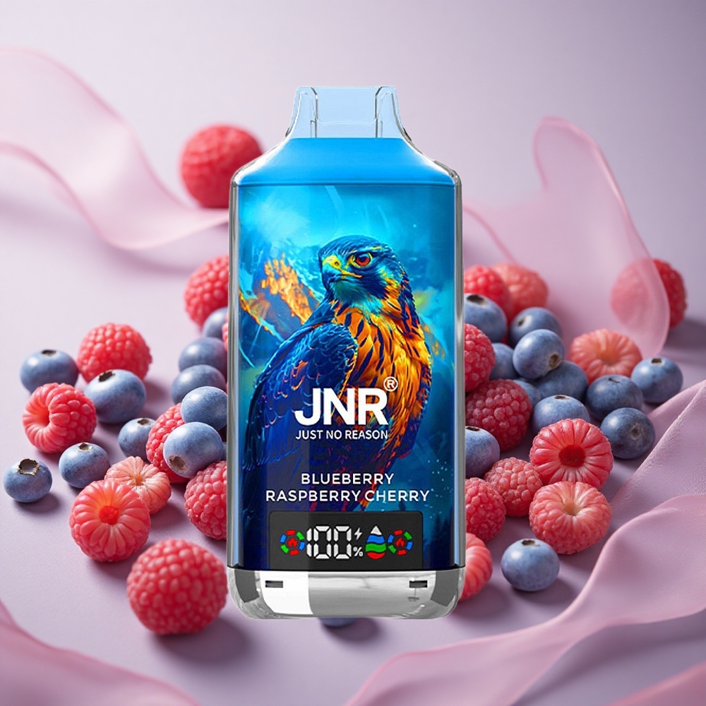 Borůvka Malina Třešeň JNR Falcon X 18000 Puffs 750mAh baterie 24ml náplň velkoobchod Česká Republika