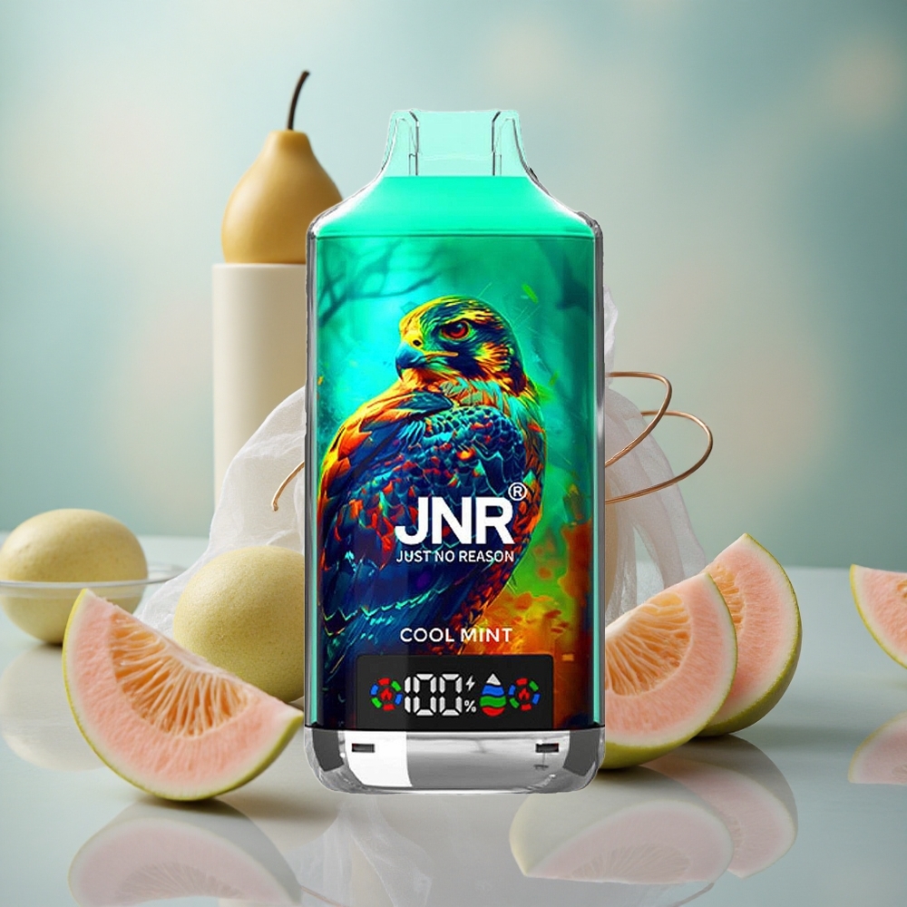 Chladivá máta JNR Falcon X 18000 Puffs 24ml e-liquid 750mAh baterie velkoobchod Česká Republika