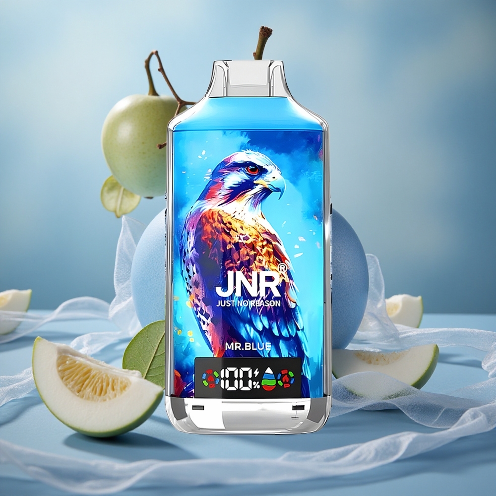 Modrá JNR Falcon X 18000 Puffs 750mAh 24ml velkoobchod Česká Republika