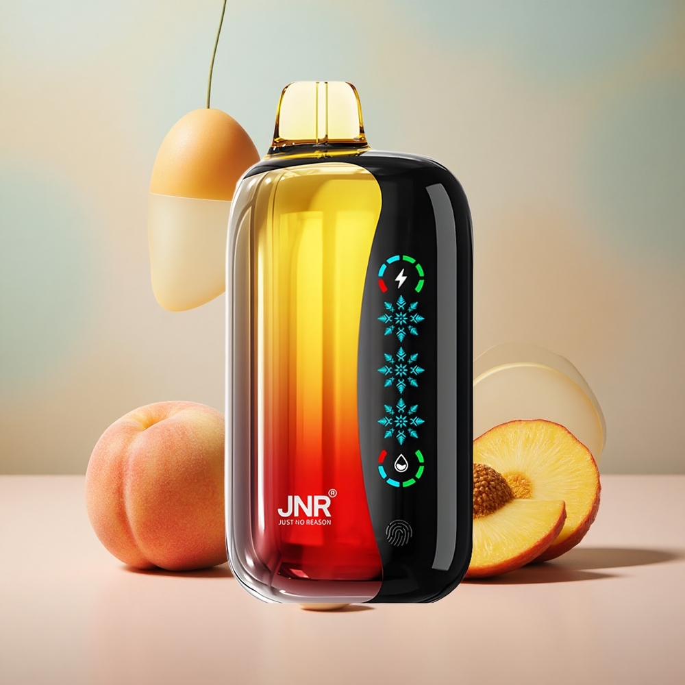 Broskev Mango Ananas JNR Flex Ice 21000 Puffs 26ml E-kapalina Nastavitelný Airflow velkoobchod Česká Republika