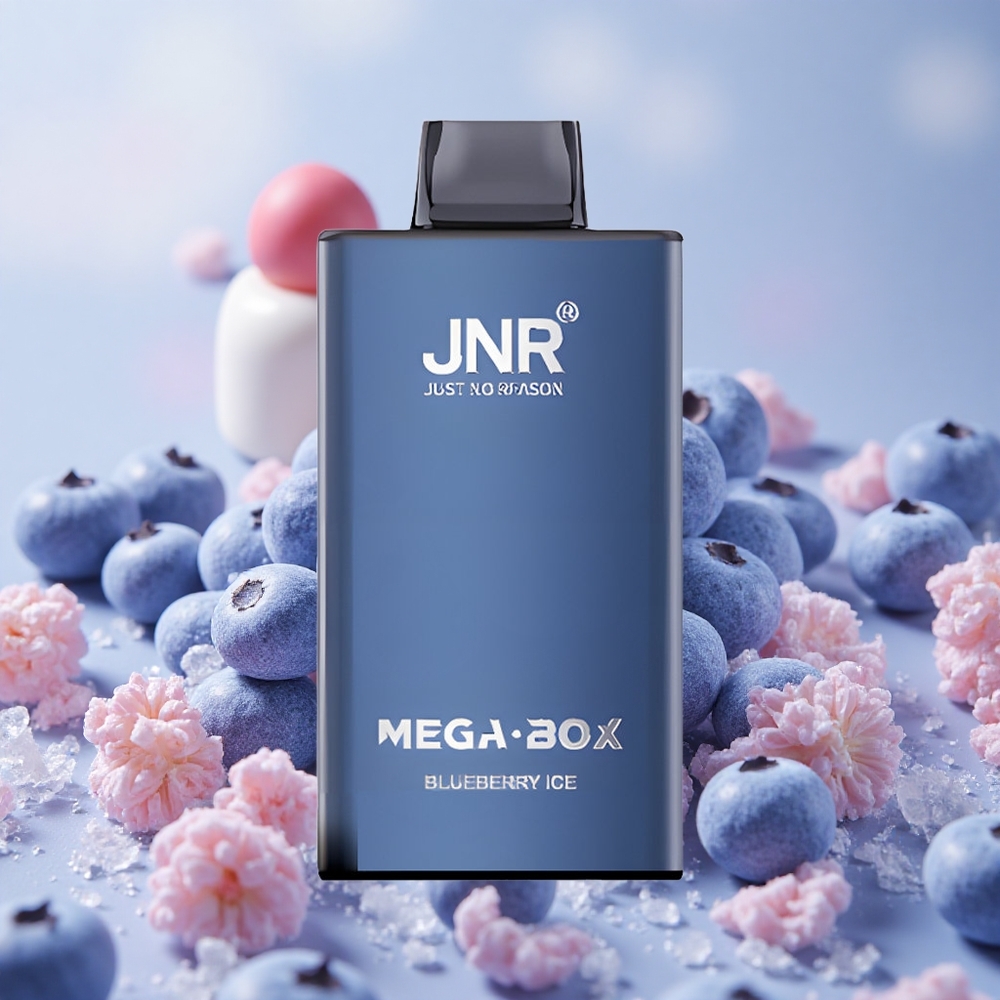 Borůvka Led JNR Mega Box 25000 Puffs 30ml Kapacita Tekutiny 850mAh Kapacita Baterie velkoobchod Česká Republika