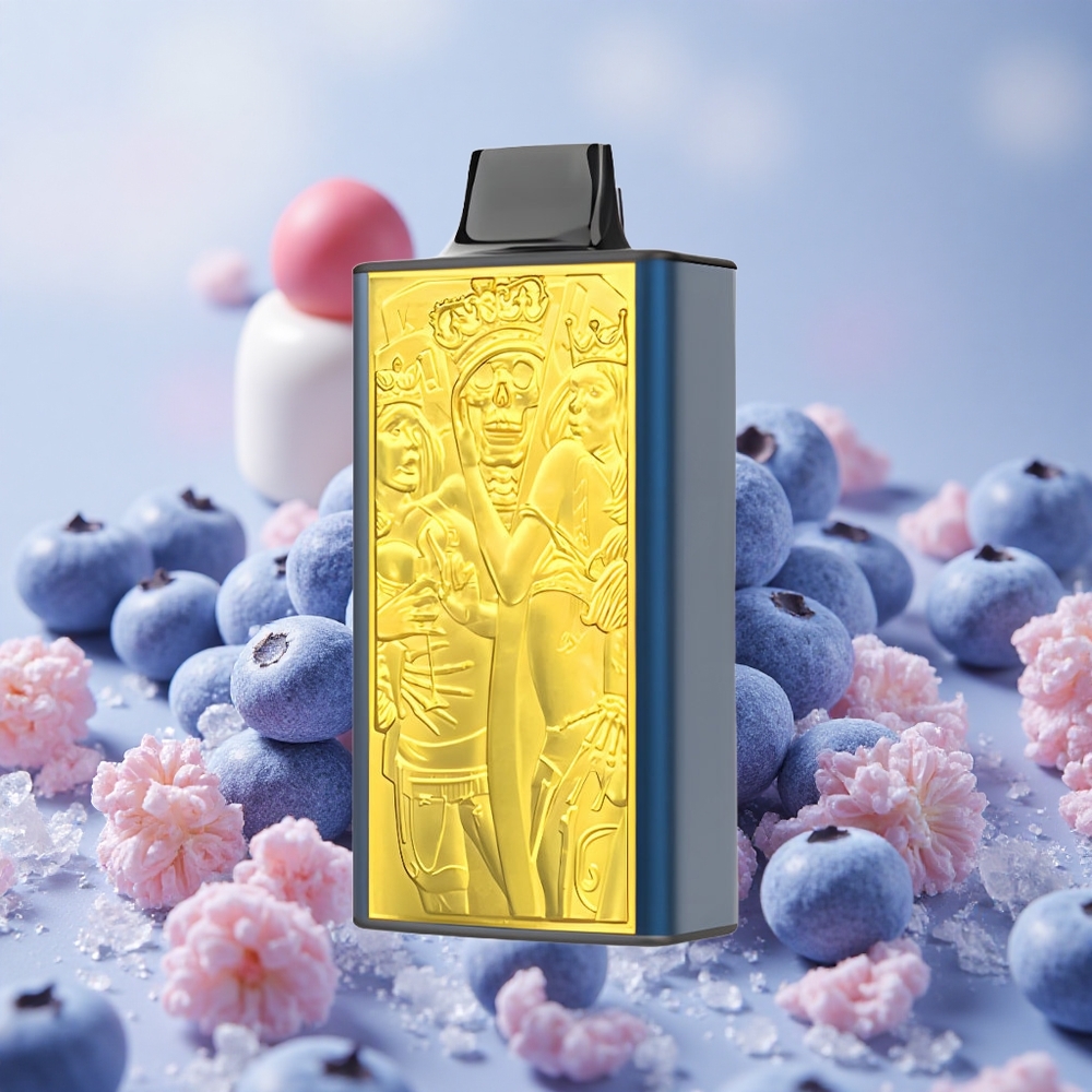 Borůvka Led JNR Mega Box 25000 Puffs 30ml Kapacita Tekutiny 850mAh Kapacita Baterie velkoobchod Česká Republika