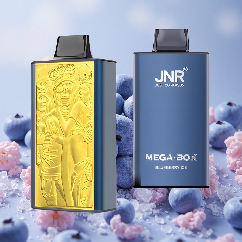 Borůvka Led JNR Mega Box 25000 Puffs 30ml Kapacita Tekutiny 850mAh Kapacita Baterie velkoobchod Česká Republika