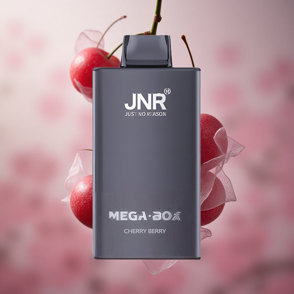 Třešeň Borůvka JNR Mega Box 25000 Puffs 30ml Kapalina 850mAh Baterie velkoobchod Česká Republika
