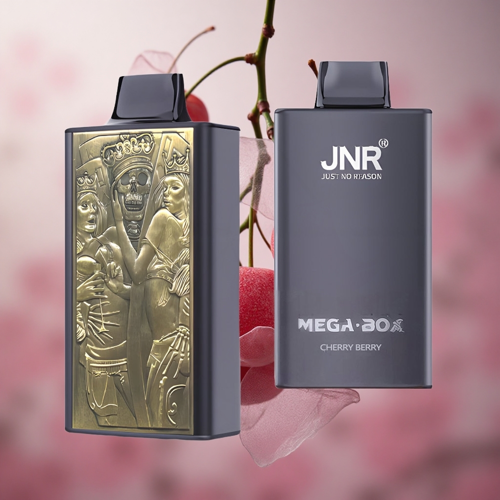 Třešeň Borůvka JNR Mega Box 25000 Puffs 30ml Kapalina 850mAh Baterie velkoobchod Česká Republika