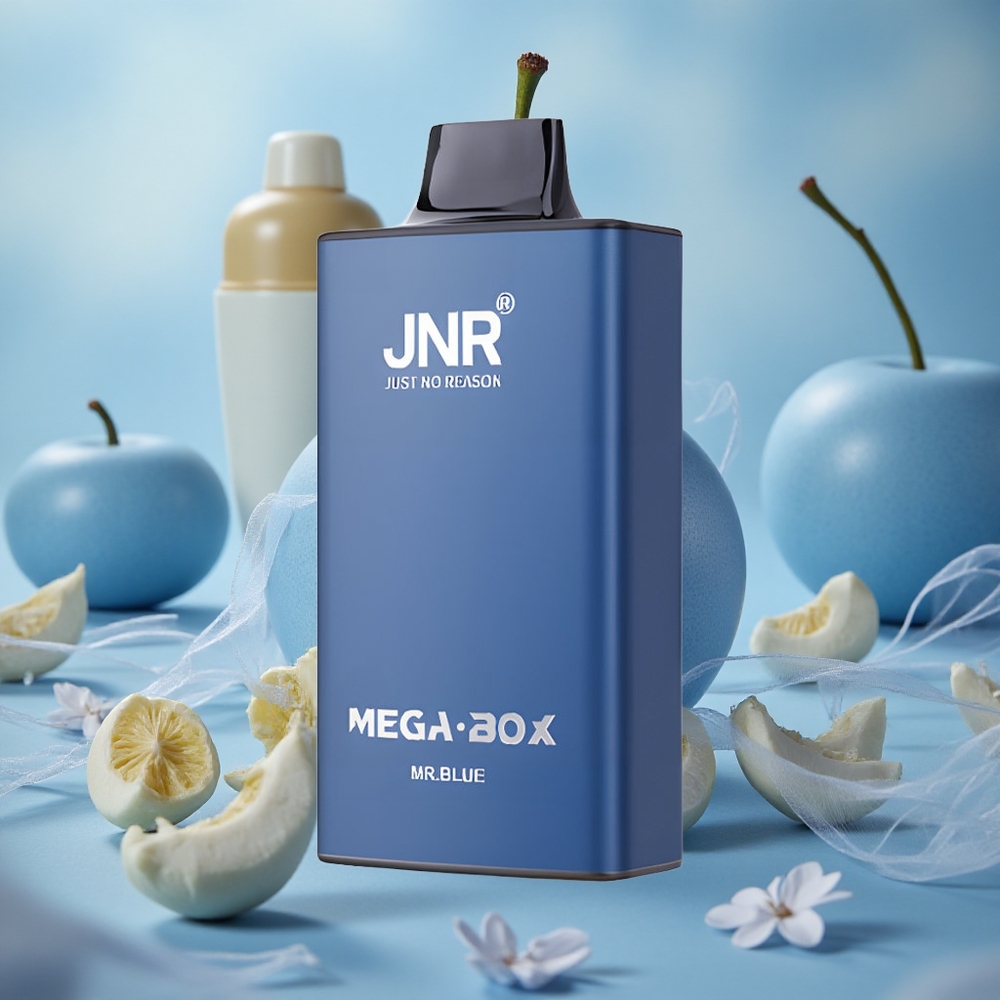 modrá příchuť JNR Mega Box 25000 potahů Jednorázová Vape Mr Blue 30ml kapacita e-liquidu velkoobchod Česká Republika