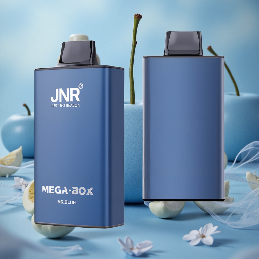 modrá příchuť JNR Mega Box 25000 potahů Jednorázová Vape Mr Blue 30ml kapacita e-liquidu velkoobchod Česká Republika