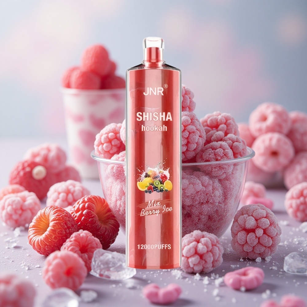 Bobule Led JNR Shisha Hookah 12000 Puffs 24ml Kapacita e-liquidu 750mAh Kapacita baterie velkoobchod Česká Republika