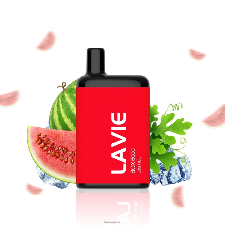 44FH6199 Lavie Vape Praha - svěží led LAVIE BOX 6000 šluků